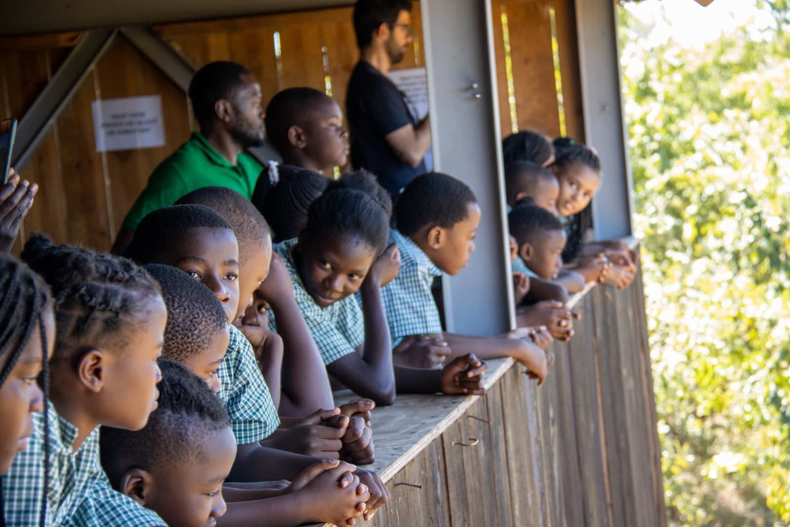Learners look out together from the railing of a covered wildlife viewing area