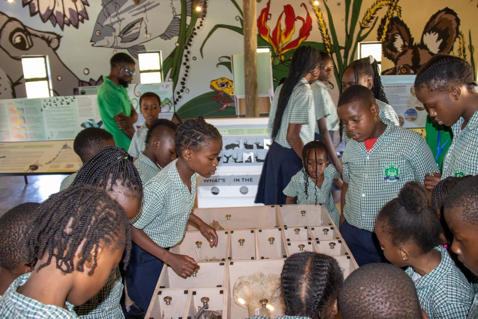 Learners study a tabletop display together inside a wildlife education space